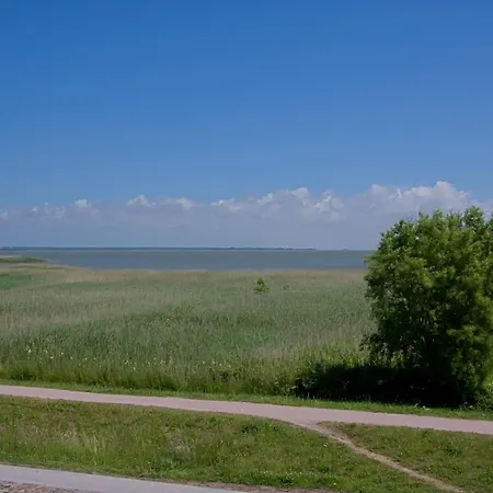 Casa vacanze Haus Am Schilf Wustrow (Fischland)